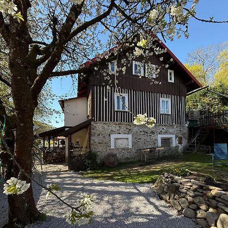 Vila Adelka - Utulna Chalupa V Krkonosich Horní Maršov Exterior foto