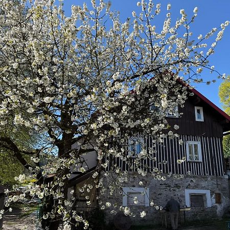 Vila Adelka - Utulna Chalupa V Krkonosich Horní Maršov Exterior foto
